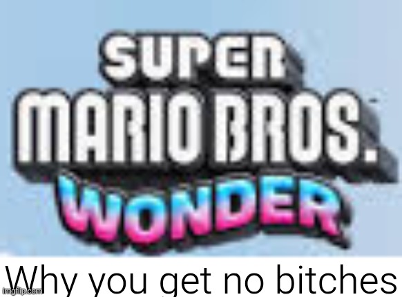 super mario bros wonder | Why you get no bitches | image tagged in super mario bros wonder | made w/ Imgflip meme maker