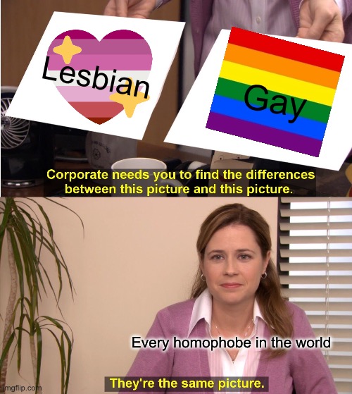 They're The Same Picture | Lesbian; Gay; Every homophobe in the world | image tagged in memes,they're the same picture | made w/ Imgflip meme maker