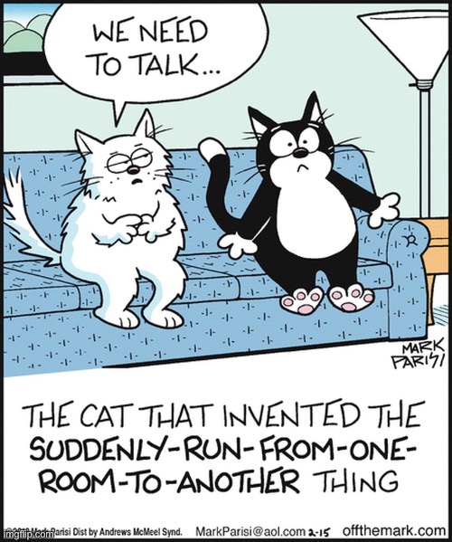 That explains it… | image tagged in cats,comics,off the mark | made w/ Imgflip meme maker