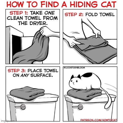 How to Cat | image tagged in cats,comics,how to cat,hiding cat | made w/ Imgflip meme maker