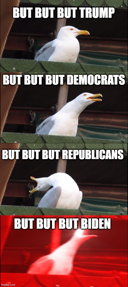 Inhaling Seagull | BUT BUT BUT TRUMP; BUT BUT BUT DEMOCRATS; BUT BUT BUT REPUBLICANS; BUT BUT BUT BIDEN | image tagged in memes,inhaling seagull | made w/ Imgflip meme maker