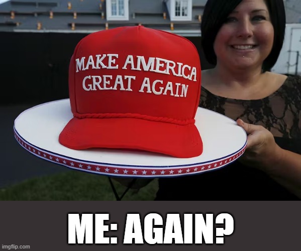 make america great again? | ME: AGAIN? | image tagged in make america great again,america,funny,never,lmao,hahaha | made w/ Imgflip meme maker