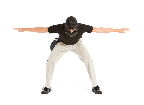 Baseball Safe Blank Meme Template