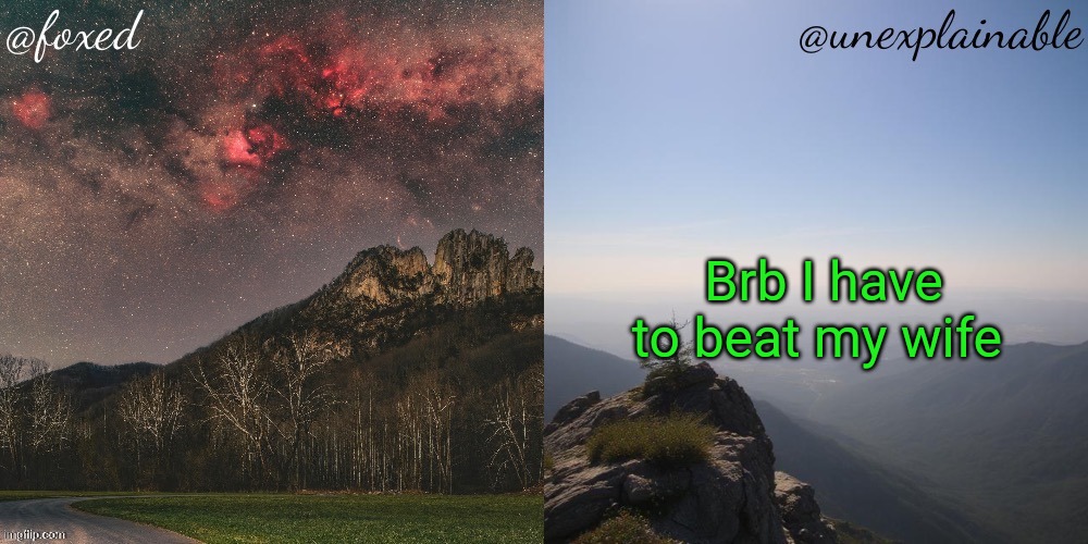 https://imgflip.com/i/a1g2jz?nerp=1753631092#com37326918 | Brb I have to beat my wife | image tagged in the fox is unexplainable | made w/ Imgflip meme maker