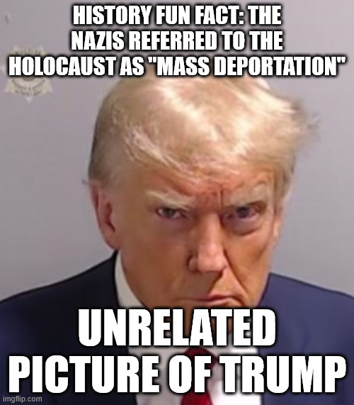 He read Mein Kampf to bed for years | HISTORY FUN FACT: THE NAZIS REFERRED TO THE HOLOCAUST AS "MASS DEPORTATION"; UNRELATED PICTURE OF TRUMP | image tagged in donald trump mugshot | made w/ Imgflip meme maker