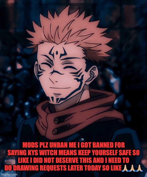 Plz mods | MODS PLZ UNBAN ME I GOT BANNED FOR SAYING KYS WITCH MEANS KEEP YOURSELF SAFE SO LIKE I DID NOT DESERVE THIS AND I NEED TO DO DRAWING REQUESTS LATER TODAY SO LIKE🙏🏼🙏🏼🙏🏼 | made w/ Imgflip meme maker