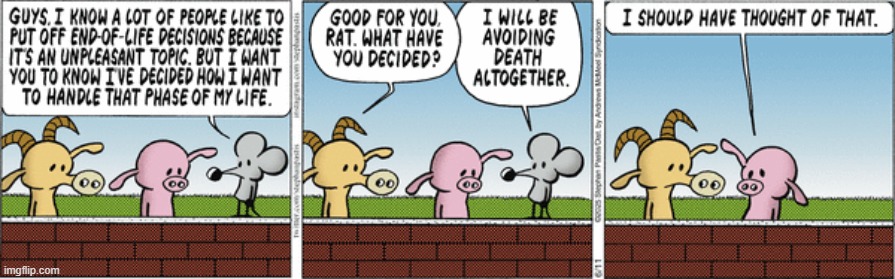 Pearls Before Swine | image tagged in comics | made w/ Imgflip meme maker