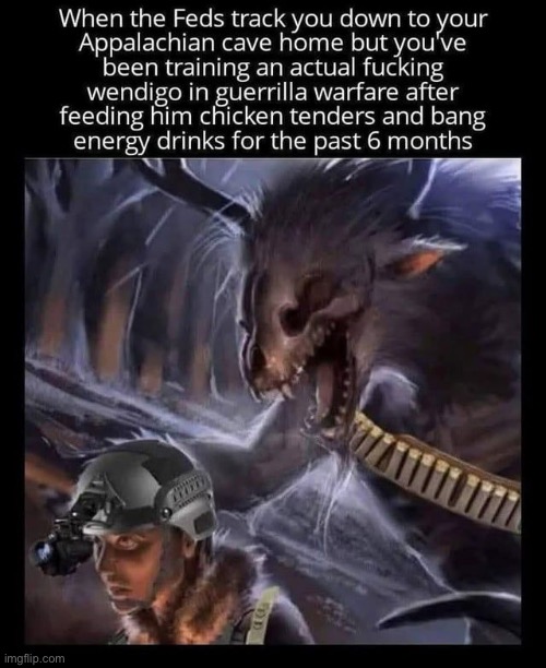 Type of shite Wendigoon would do | image tagged in wendigooning,memes,shitpost,jacob | made w/ Imgflip meme maker