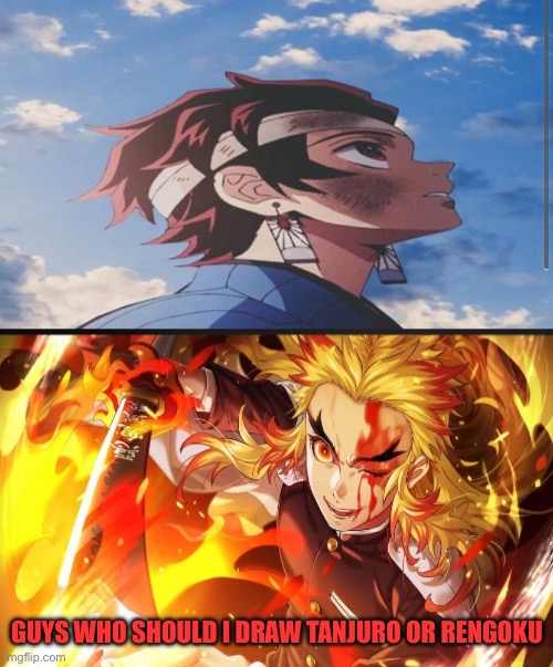 Who should I draw guys | GUYS WHO SHOULD I DRAW TANJURO OR RENGOKU | made w/ Imgflip meme maker