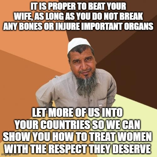 Ordinary Muslim Man | IT IS PROPER TO BEAT YOUR WIFE, AS LONG AS YOU DO NOT BREAK ANY BONES OR INJURE IMPORTANT ORGANS; LET MORE OF US INTO YOUR COUNTRIES SO WE CAN SHOW YOU HOW TO TREAT WOMEN WITH THE RESPECT THEY DESERVE | image tagged in memes,ordinary muslim man | made w/ Imgflip meme maker
