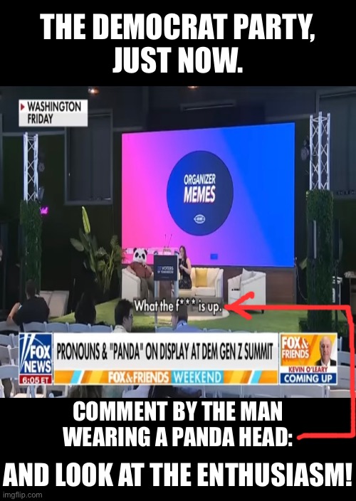 The Democrat Party—July 2025. | THE DEMOCRAT PARTY,
JUST NOW. COMMENT BY THE MAN
WEARING A PANDA HEAD:; AND LOOK AT THE ENTHUSIASM! | image tagged in democrat party,democrats | made w/ Imgflip meme maker