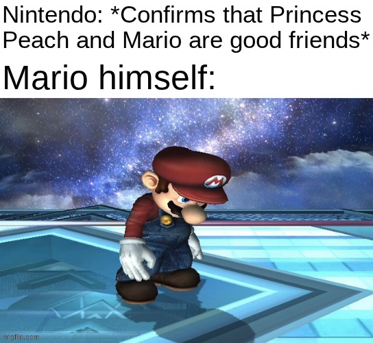 Mario got friendzoned.mp3 | image tagged in mario | made w/ Imgflip meme maker