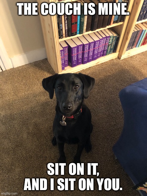 THE COUCH IS MINE. SIT ON IT, AND I SIT ON YOU. | made w/ Imgflip meme maker