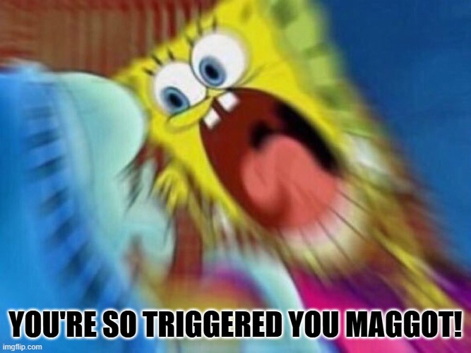 Triggered Screaming Spongebob | YOU'RE SO TRIGGERED YOU MAGGOT! | image tagged in triggered screaming spongebob | made w/ Imgflip meme maker