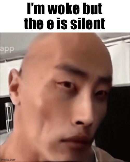 Wok | I’m woke but the e is silent | image tagged in da chinese wok | made w/ Imgflip meme maker