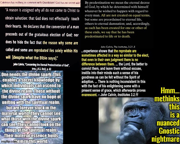 Nuanced Gnostic Nightmare | image tagged in calvinism,arminian,molinism,reformed theology 5 point calvinists,calvinist memes,nuanced gnostic lie | made w/ Imgflip meme maker