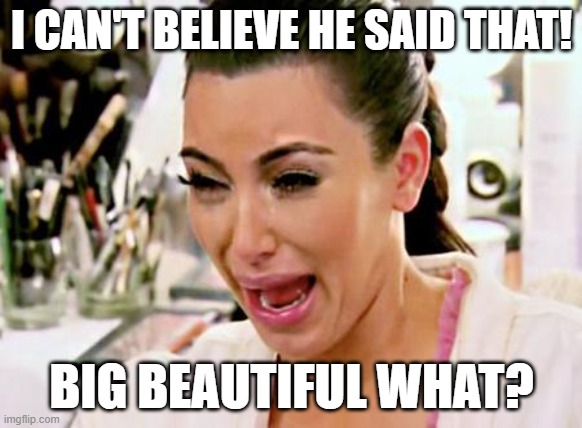Kardashian, Trump, Big butt | I CAN'T BELIEVE HE SAID THAT! BIG BEAUTIFUL WHAT? | image tagged in kim kardashian,trump,big beuatiful,butt,big butt,kim | made w/ Imgflip meme maker