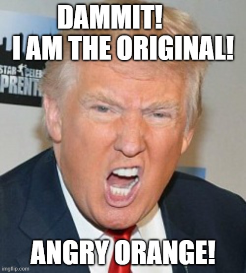 Angry orange, trump, orange, the orange one | DAMMIT!      I AM THE ORIGINAL! ANGRY ORANGE! | image tagged in trump,angry orange,trump yelling,angry,president | made w/ Imgflip meme maker