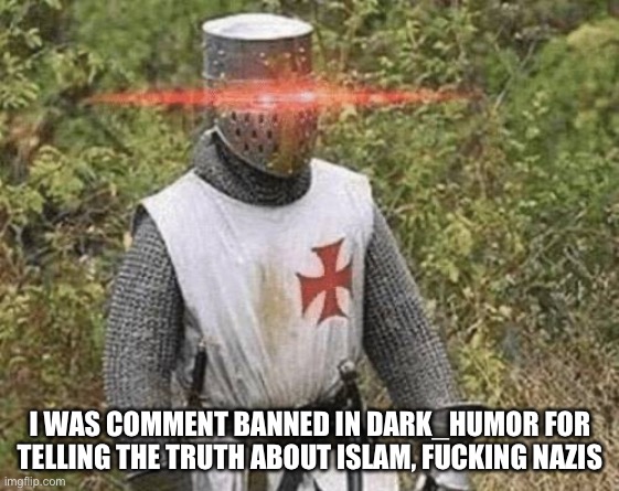Whoever banned me, may both sides of your pillow always be warm | I WAS COMMENT BANNED IN DARK_HUMOR FOR TELLING THE TRUTH ABOUT ISLAM, FUCKING NAZIS | image tagged in growing stronger crusader,nazi,radical islam,misogyny,antisemitism,facist | made w/ Imgflip meme maker