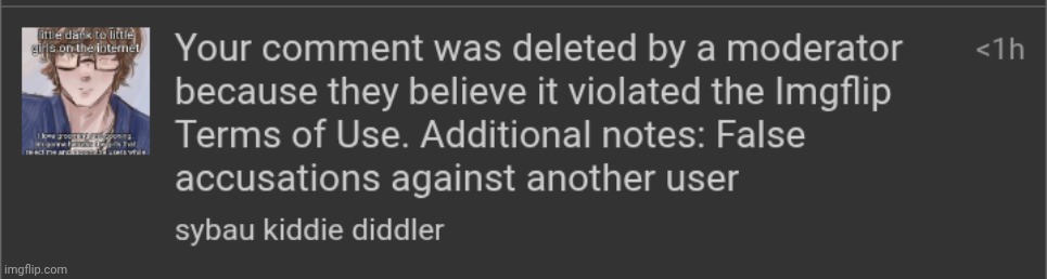 CLEARLY it was SATIRE, gosh, mods, suck my ass | made w/ Imgflip meme maker