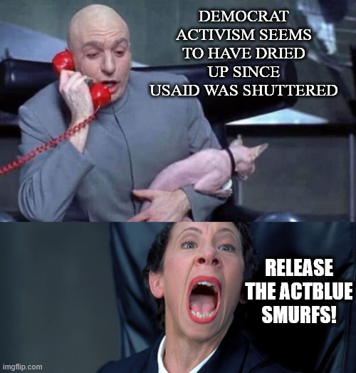 democrat activists defunded need more dark money | DEMOCRAT ACTIVISM SEEMS TO HAVE DRIED UP SINCE USAID WAS SHUTTERED; RELEASE THE ACTBLUE SMURFS! | image tagged in dr evil and frau,defunding democrat activists,fund your own propaganda | made w/ Imgflip meme maker
