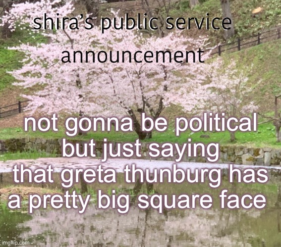 shira’s PSA | not gonna be political but just saying that greta thunburg has a pretty big square face | image tagged in shira s psa | made w/ Imgflip meme maker