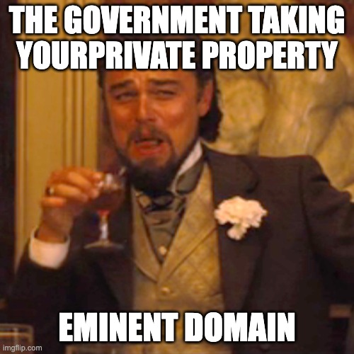 domain | THE GOVERNMENT TAKING YOURPRIVATE PROPERTY; EMINENT DOMAIN | image tagged in memes,laughing leo | made w/ Imgflip meme maker