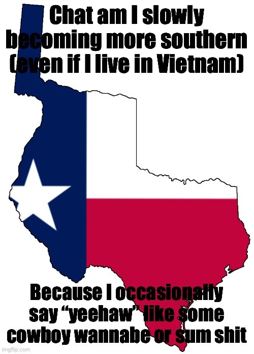 Republic of Texas | Chat am I slowly becoming more southern (even if I live in Vietnam); Because I occasionally say “yeehaw” like some cowboy wannabe or sum shit | image tagged in republic of texas | made w/ Imgflip meme maker