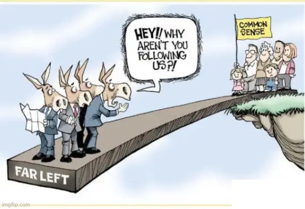 Common Sense | image tagged in liberal privilege,libtards,common sense,jackass,donkey,leftists | made w/ Imgflip meme maker