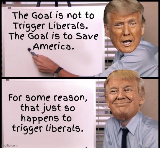 Triggering Liberals | image tagged in triggered liberal,libtards,donald trump approves,communist socialist,liberal privilege,entitlement | made w/ Imgflip meme maker