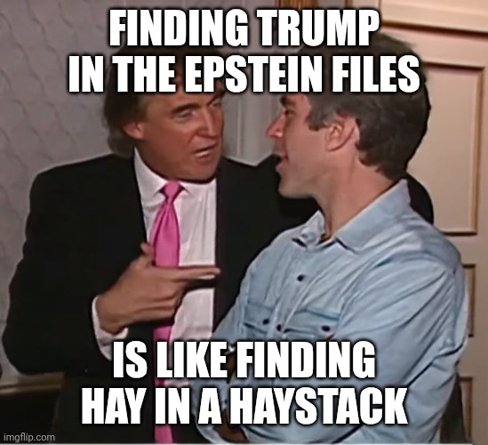 Birds of a feather | FINDING TRUMP IN THE EPSTEIN FILES; IS LIKE FINDING HAY IN A HAYSTACK | image tagged in trump epstein party,donald trump,jeffrey epstein,pedophiles,child molester | made w/ Imgflip meme maker