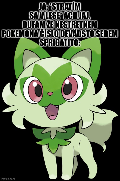 Atleast it is not floragato. | JA: *STRATÍM SA V LESE* ACH JAJ, DUFAM ŽE NESTRETNEM POKEMONA ČÍSLO DEVÄDSTO SEDEM
SPRIGATITO: | image tagged in sprigatito,stoobid | made w/ Imgflip meme maker