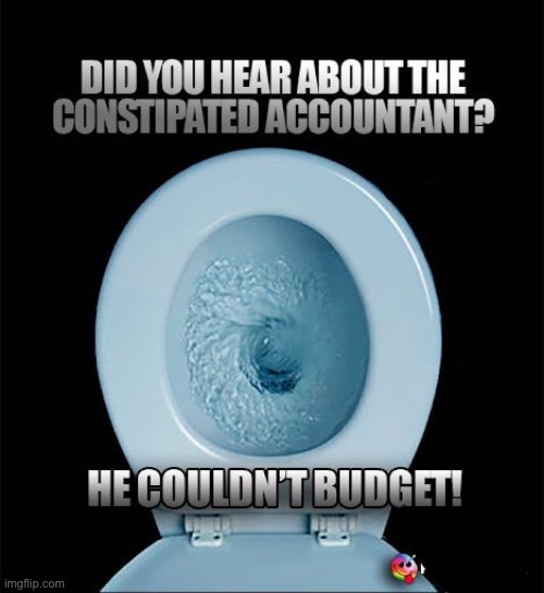 Couldn't "Budget" | image tagged in constipation,poop,potty humor,bathroom humor,bad joke,budget | made w/ Imgflip meme maker