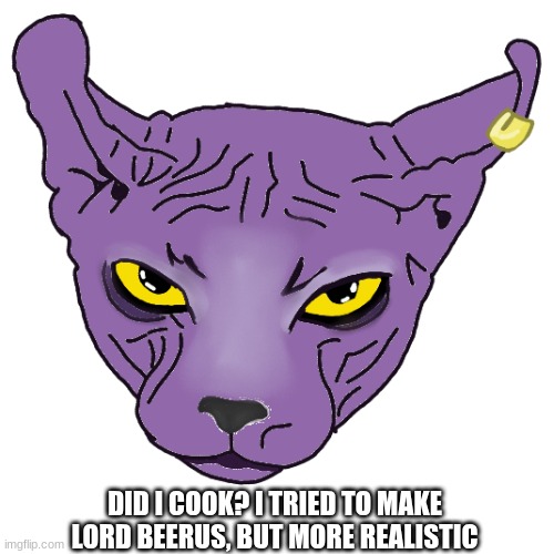 Did I cook? | DID I COOK? I TRIED TO MAKE LORD BEERUS, BUT MORE REALISTIC | image tagged in beerus,dbz,drawing | made w/ Imgflip meme maker