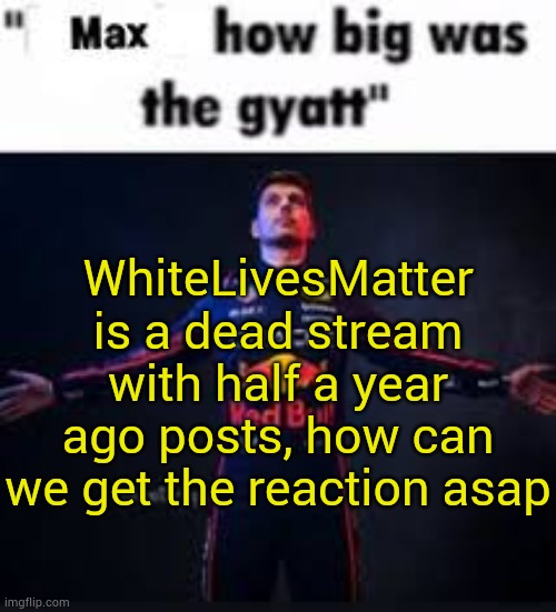 title | WhiteLivesMatter is a dead stream with half a year ago posts, how can we get the reaction asap | image tagged in max how big was the gyatt | made w/ Imgflip meme maker