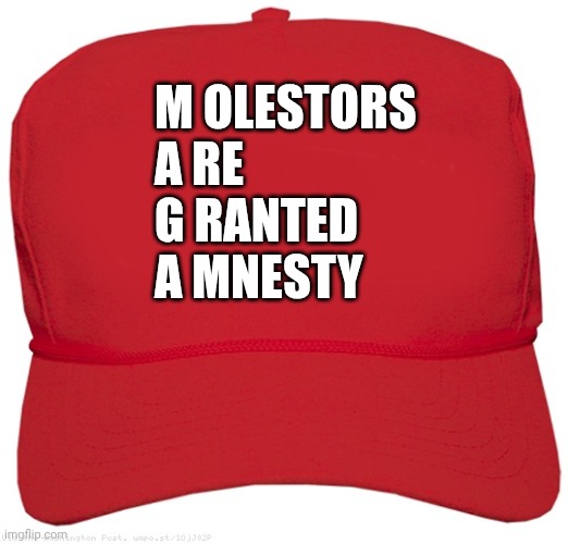 blank red MAGA hat | M OLESTORS
A RE 
G RANTED
A MNESTY | image tagged in blank red maga hat,donald trump,jeffrey epstein,maga,pedophiles | made w/ Imgflip meme maker