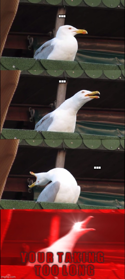 YOU'RE TAKING TOO LO- | ... ... ... Y O U R  T A K I N G
  T O O  L O N G | image tagged in memes,inhaling seagull | made w/ Imgflip meme maker