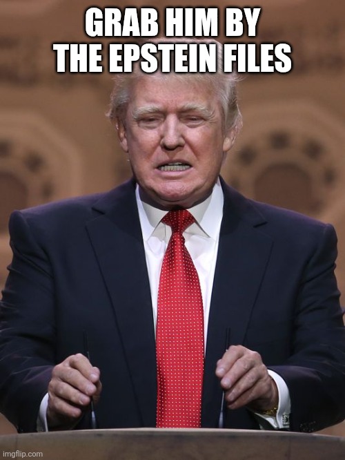 Donald Trump | GRAB HIM BY THE EPSTEIN FILES | image tagged in donald trump | made w/ Imgflip meme maker