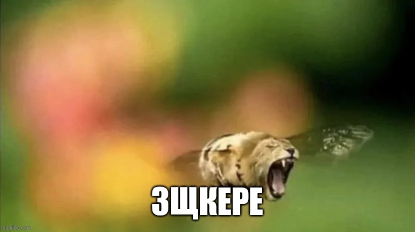 ЗЩКЕРЕ | ЗЩКЕРЕ | image tagged in bee lion | made w/ Imgflip meme maker