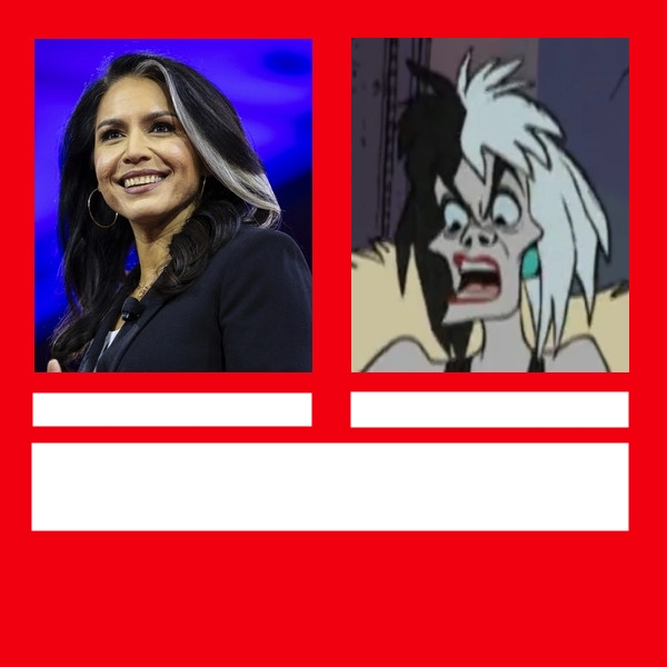 High Quality Tulsi Gabbard vs Cruella De Vil Blank Meme Template