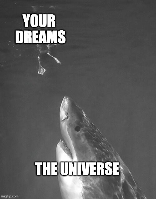 The Universe and Dreams | YOUR 
DREAMS; THE UNIVERSE | image tagged in the universe and dreams | made w/ Imgflip meme maker
