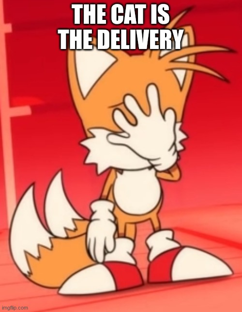 THE CAT IS THE DELIVERY | image tagged in miles tails prower facepalm | made w/ Imgflip meme maker