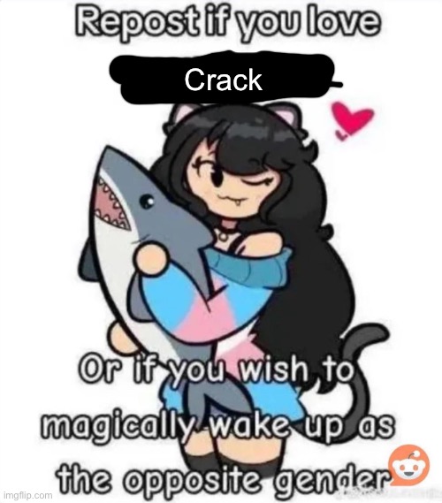 Average “Repost If” meme | Crack | image tagged in average repost if meme | made w/ Imgflip meme maker