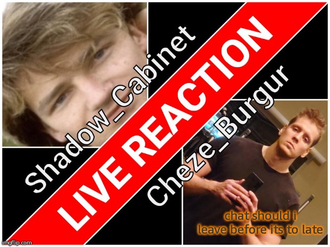 she got back on and that means its only a matter of time before he gets on | chat should i leave before its to late | image tagged in shadow and cheze shared temp | made w/ Imgflip meme maker