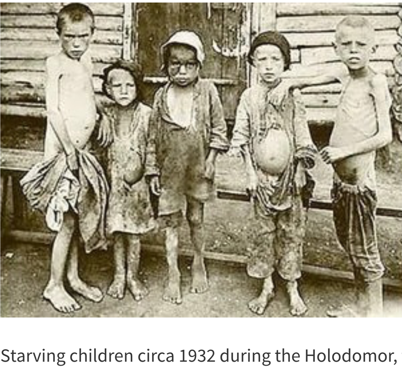 High Quality Holodomor Blank Meme Template
