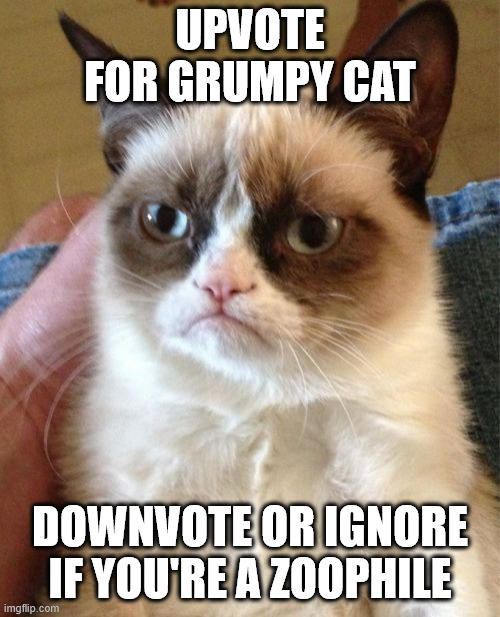 Grumpy Cat Meme | UPVOTE FOR GRUMPY CAT; DOWNVOTE OR IGNORE IF YOU'RE A ZOOPHILE | image tagged in memes,grumpy cat,funny,msmg,grumpy cat not amused,you have been eternally cursed for reading the tags | made w/ Imgflip meme maker