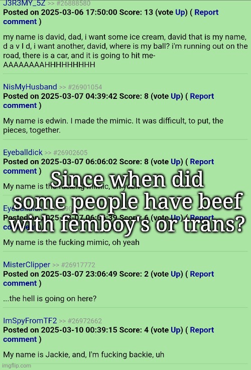 Don't mind the background | Since when did some people have beef with femboy's or trans? | made w/ Imgflip meme maker