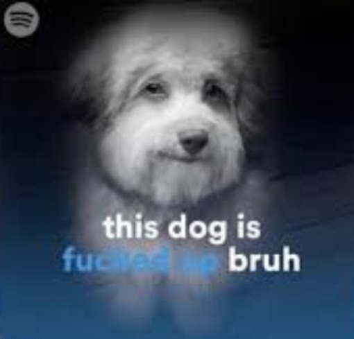 This dog is fucked up bruh | made w/ Imgflip meme maker