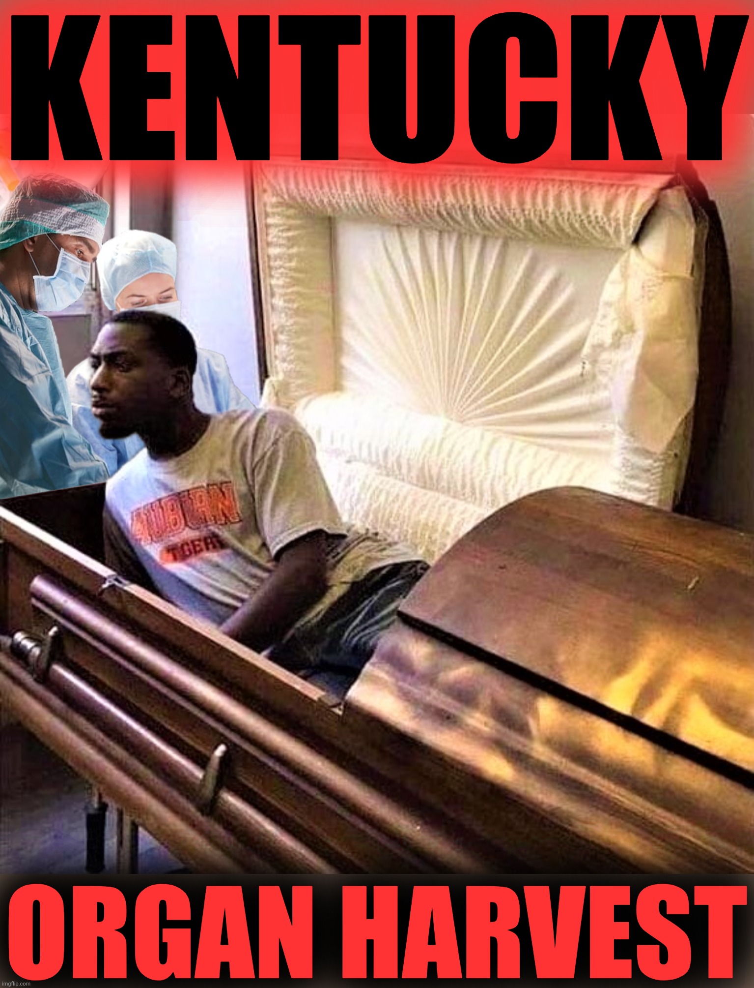 When you're an organ donor and wake up in Kentucky | KENTUCKY; ORGAN HARVEST | image tagged in organ donor,kentucky | made w/ Imgflip meme maker