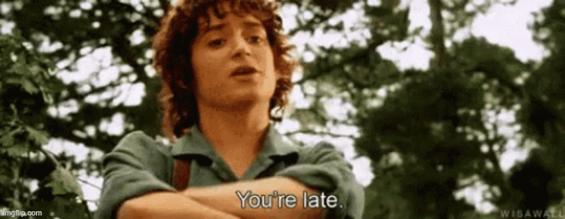 Commenting on >6 month old memes is absolutely pathetic lol | image tagged in frodo | made w/ Imgflip meme maker